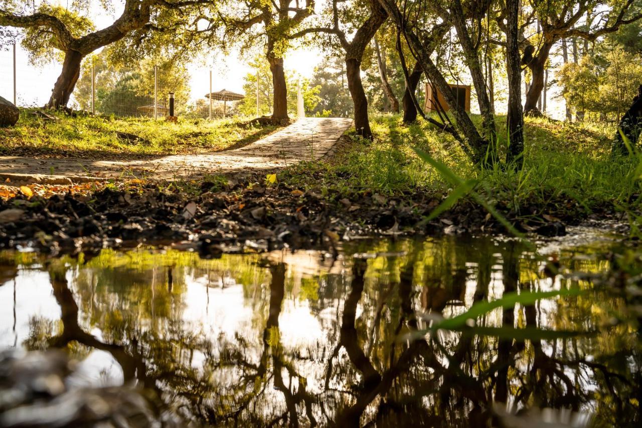 Albergue Inturjoven Cortes De La Frontera Exteriör bild